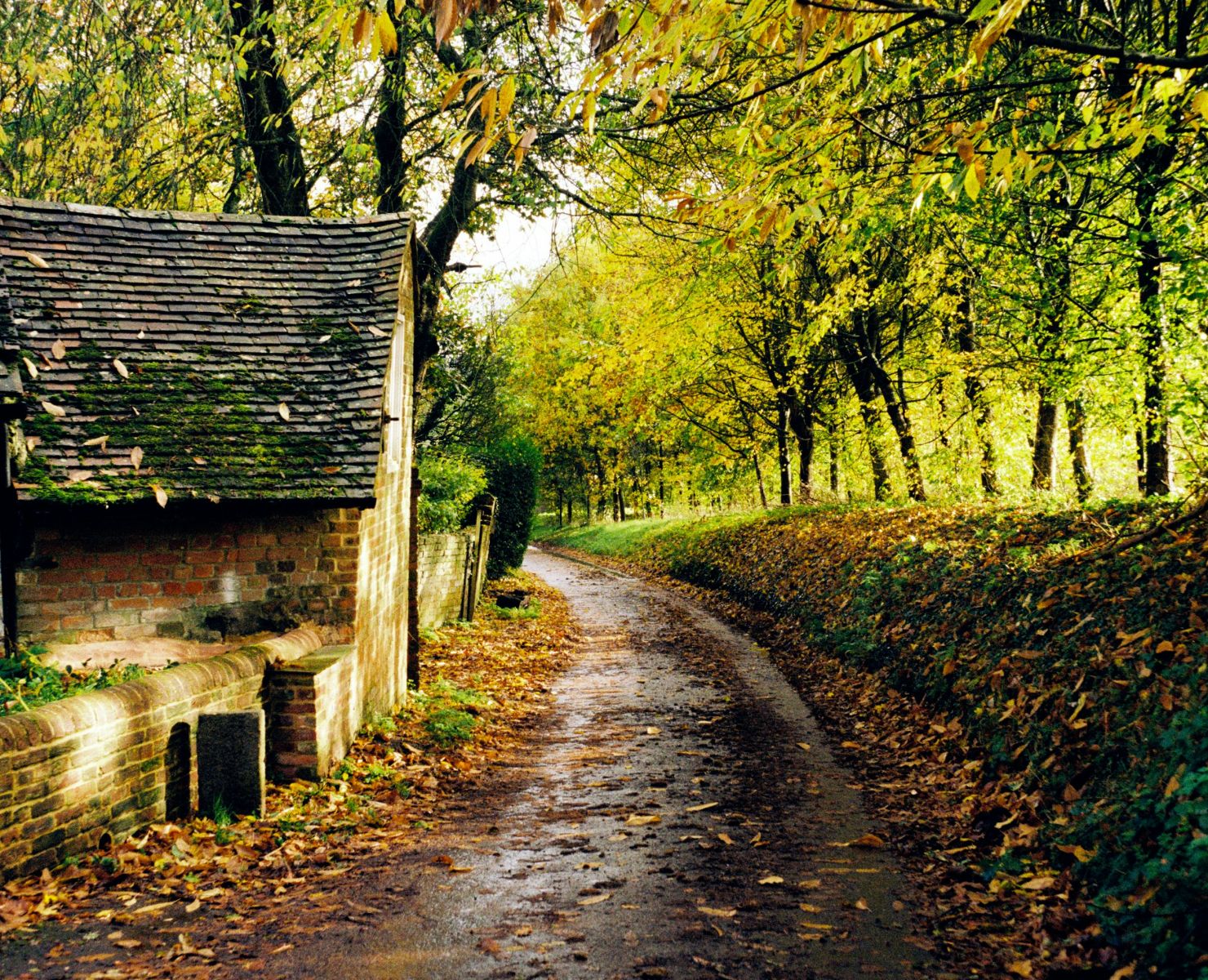 Town and Country Road Trip