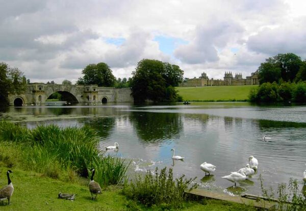 Oxford and Blenheim Palace Tour - Image 6