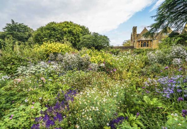 Hidcote Flowers
