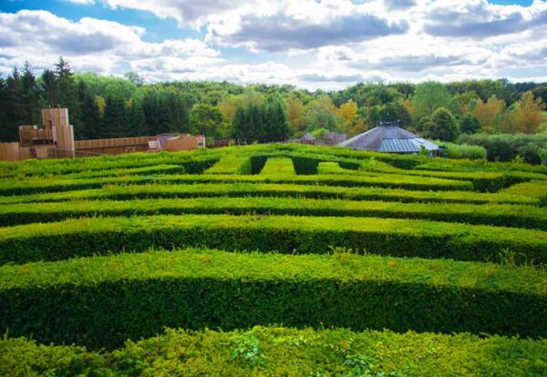 Leeds Castle Maze